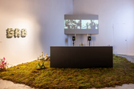 Inside a white-walled exhibition space. The floor is covered with a layer of living moss out of which different arrangements of orchids are growing, and on the wall funeral flowers spelling the letters 'BRB'. Sitting on the moss is a large black bench, which the camera taking the picture is positioned behind. In front of the bench is a large projection screen in the corner of the room. 